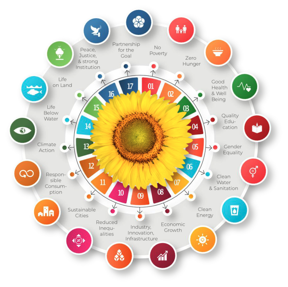 17 Sustainable Development Goals